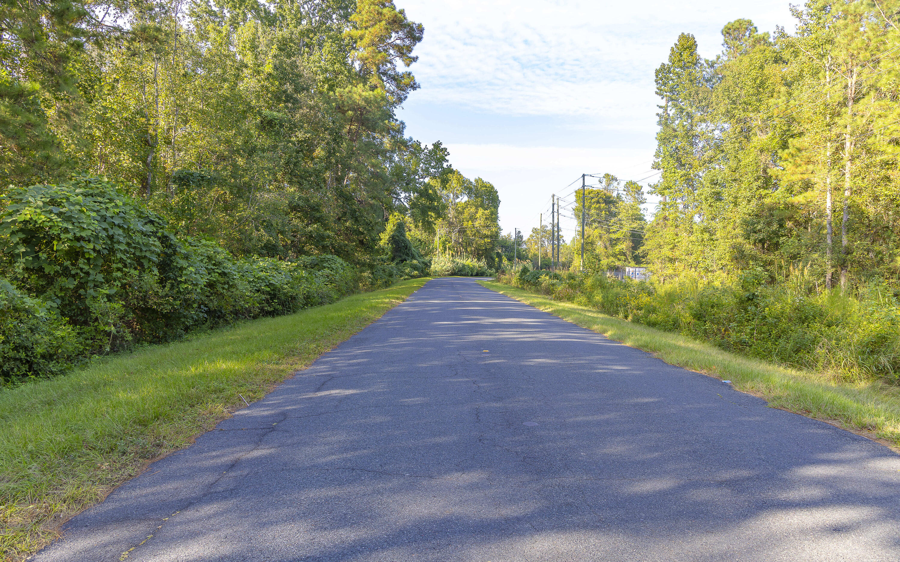 -tbd South Locust Avenue South Denmark, SC 29042 - Photo 11 of 33 South Locust Avenue 9.27.25-04