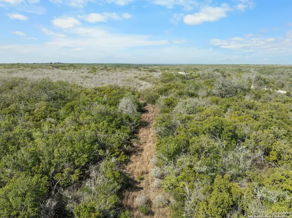 a view of a field with an ocean