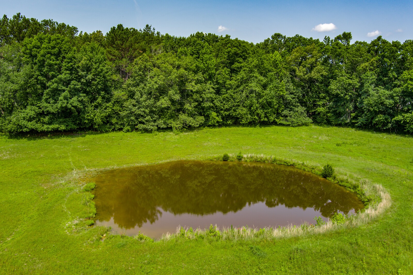 2101 Elmore Town Road Baxter, TN 38544 - Photo 25 of 28