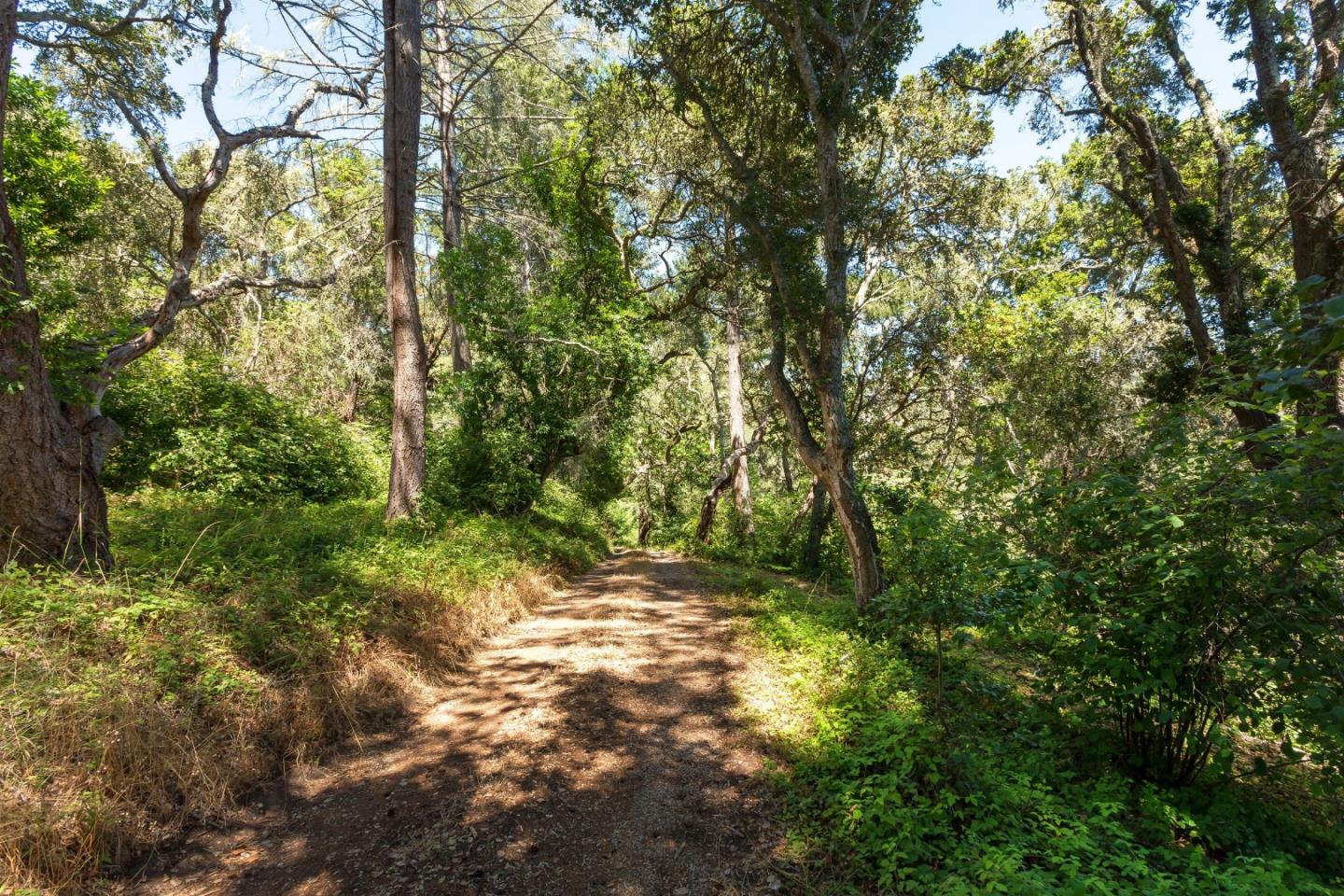 2285 Back Ranch Road Santa Cruz, CA 95060 - Photo 20 of 20 Gallery Image 20