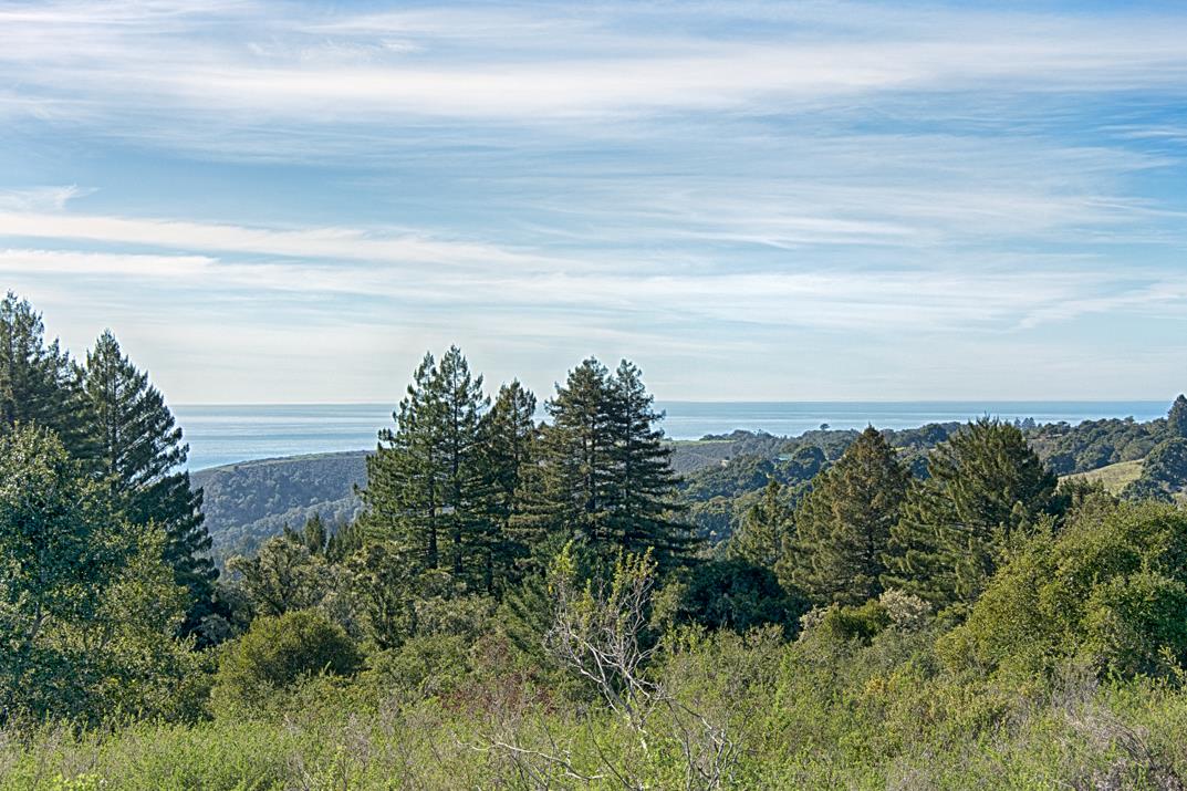 2285 Back Ranch Road Santa Cruz, CA 95060 - Photo 7 of 20 Gallery Image 7