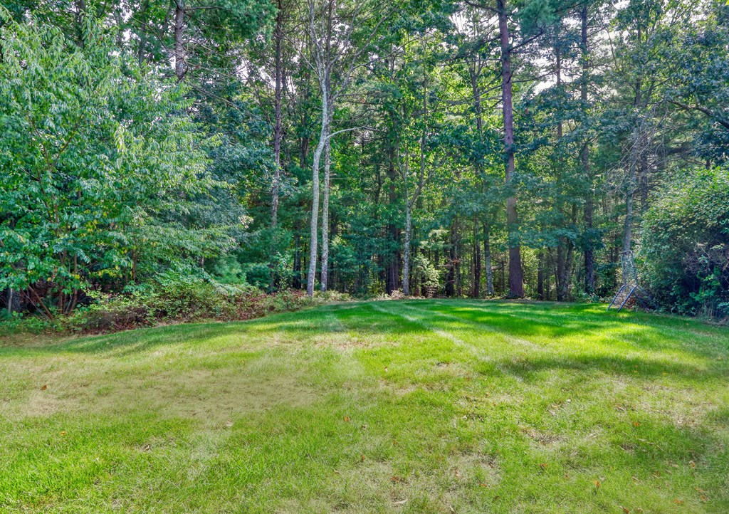 377 Far Reach Road Westwood, MA 02090 - Photo 35 of 41 Gallery Image 35