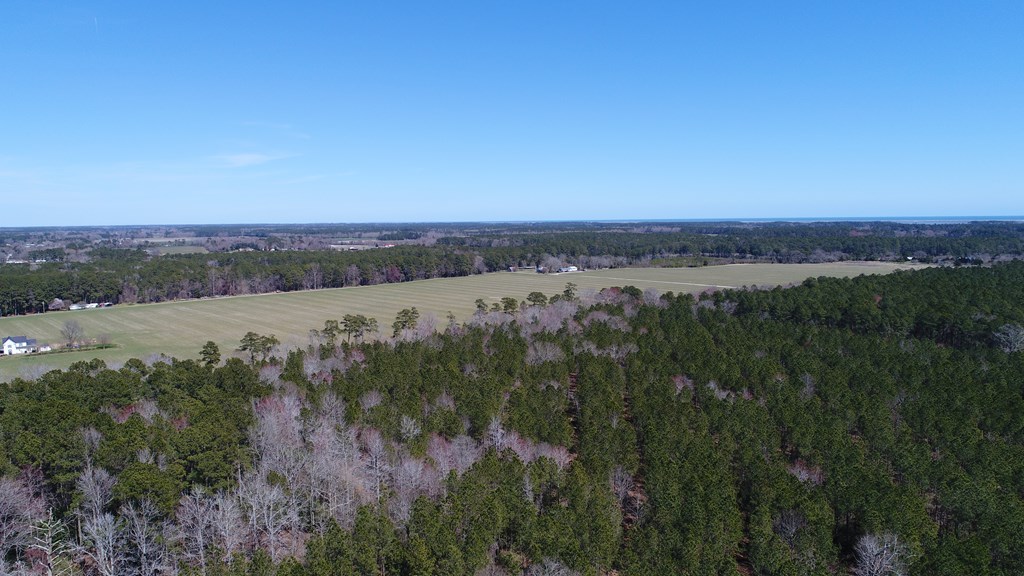 0 Drummondtown Road Accomac, VA 23301 - Photo 24 of 50