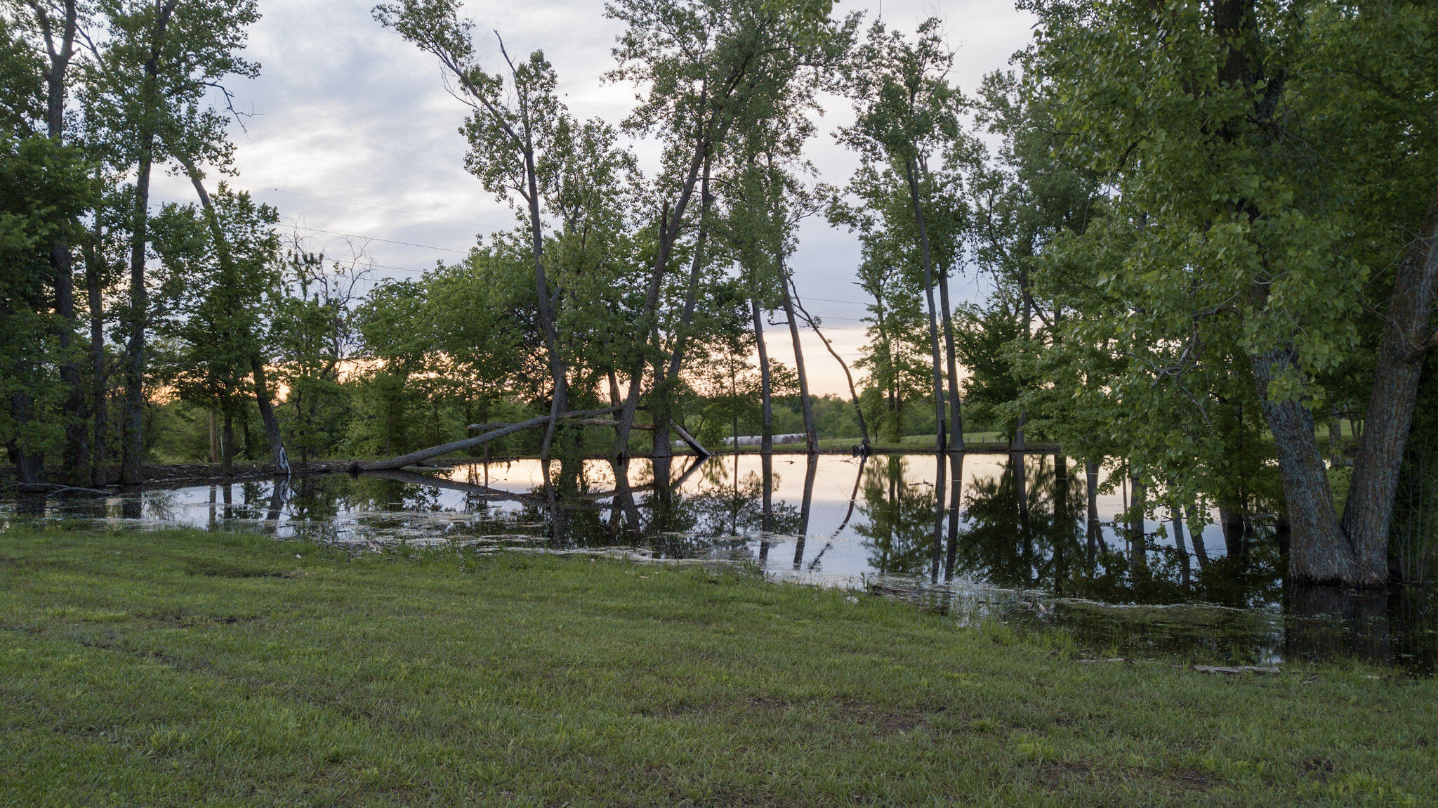43 Northwest 354th Road Clinton, MO 64735 - Photo 34 of 59 Henry 5 -2