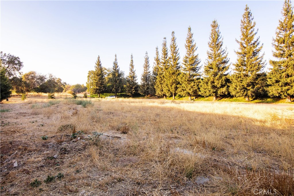 10680 Player Lane Chico, CA 95928 - Photo 6 of 9