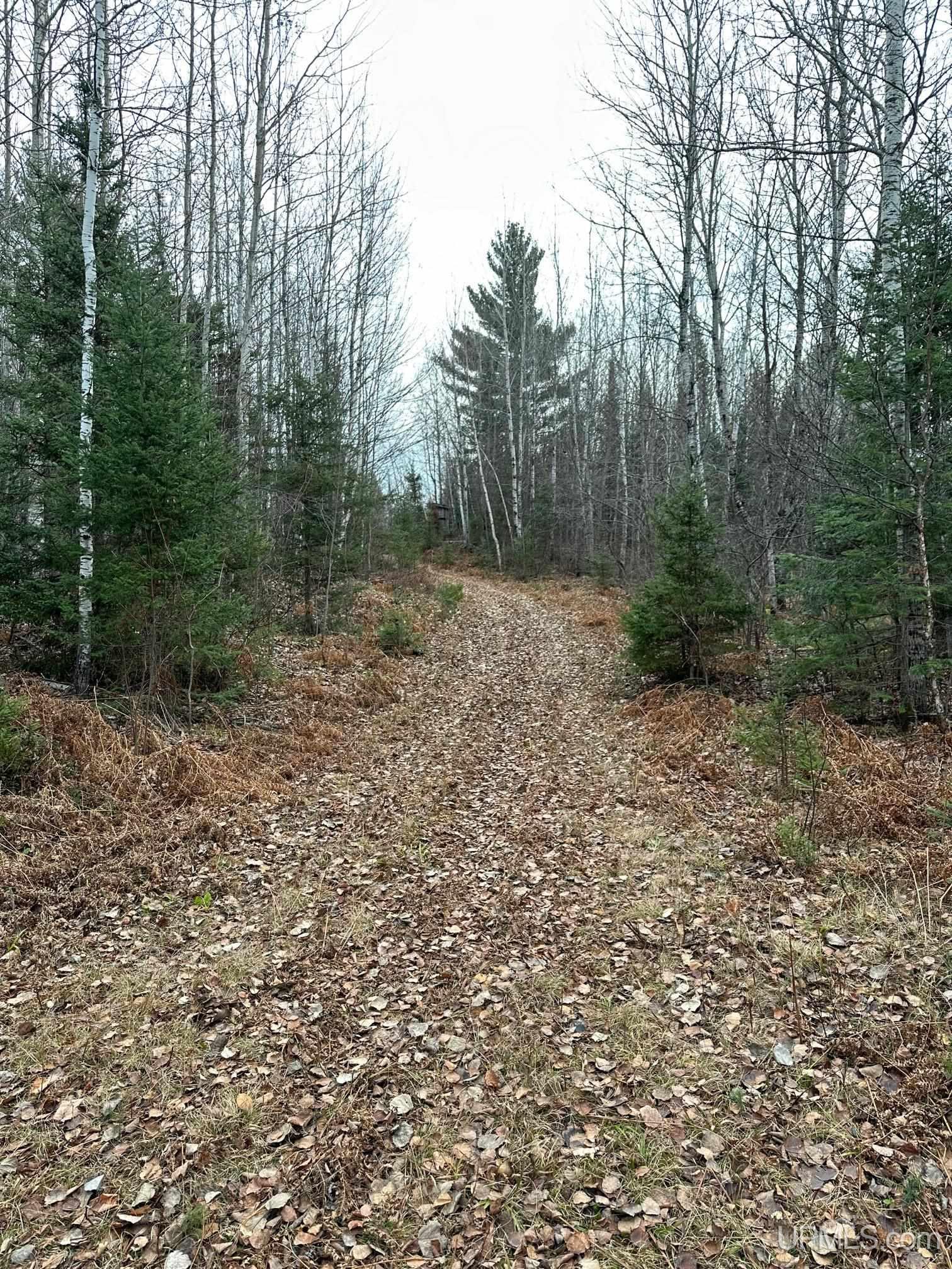 Tbd Lukes Road Amasa, MI 49903 - Photo 19 of 24