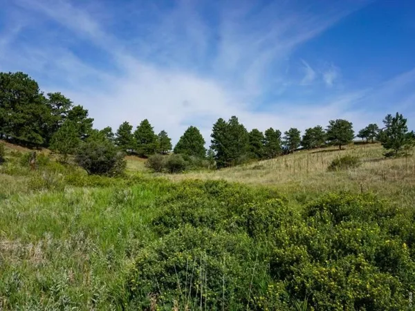 $257,000 | 0 Stub Court, Livermore, CO 80536