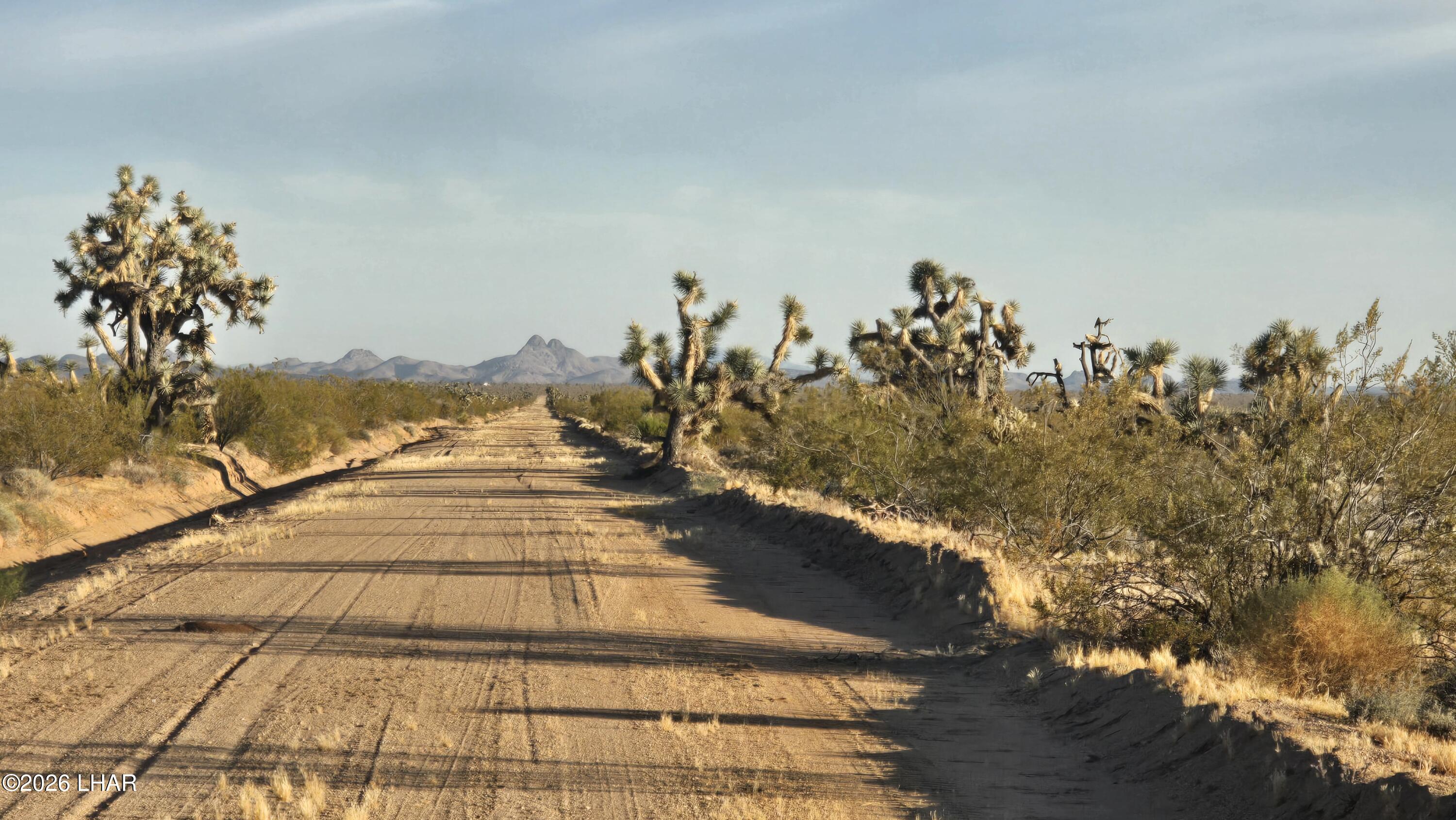 122-37-007 South John Wayne Road Yucca, AZ 86438 - Photo 8 of 21