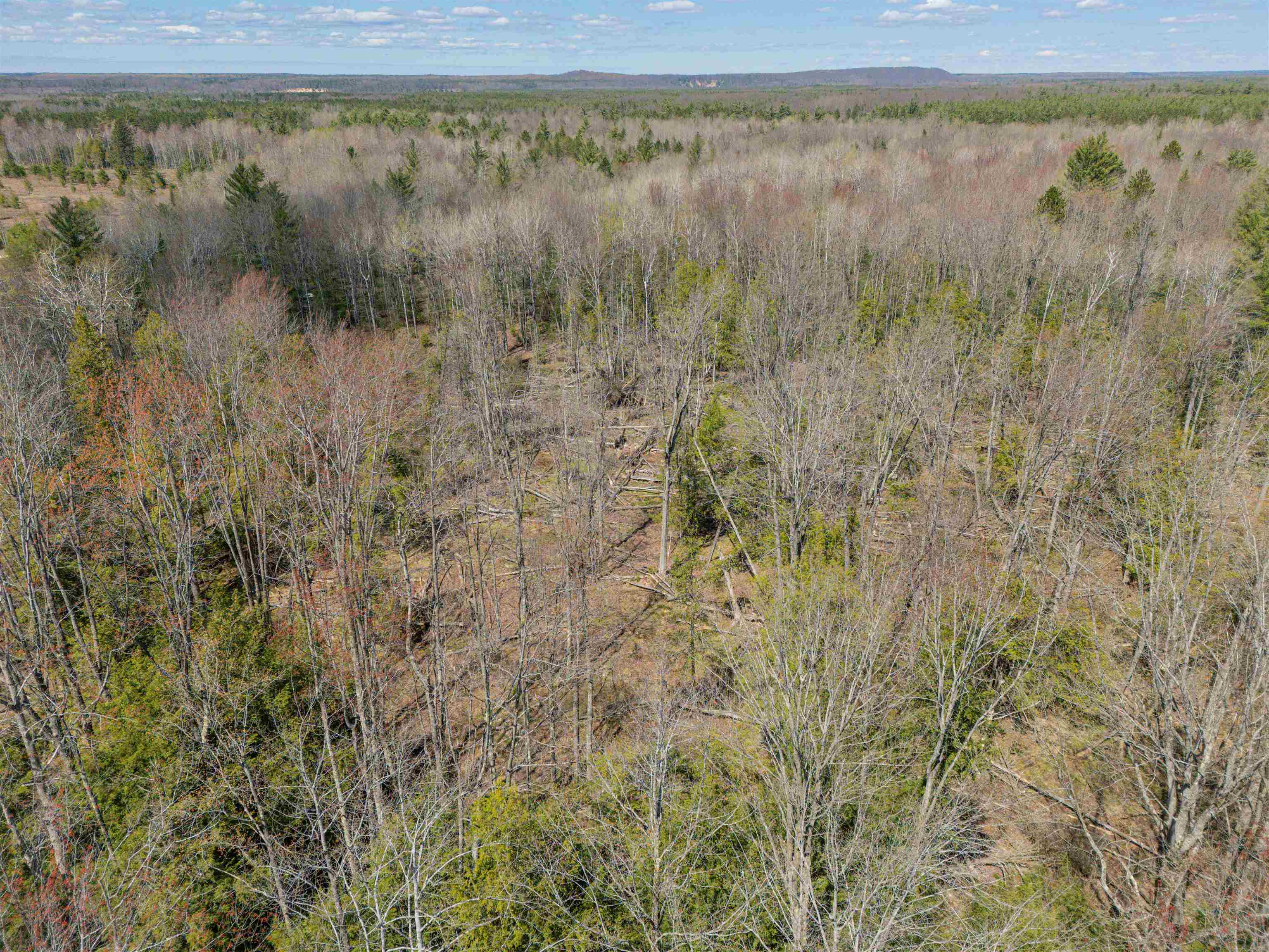Vl Kolarvic Road Manton, MI 49663 - Photo 21 of 28