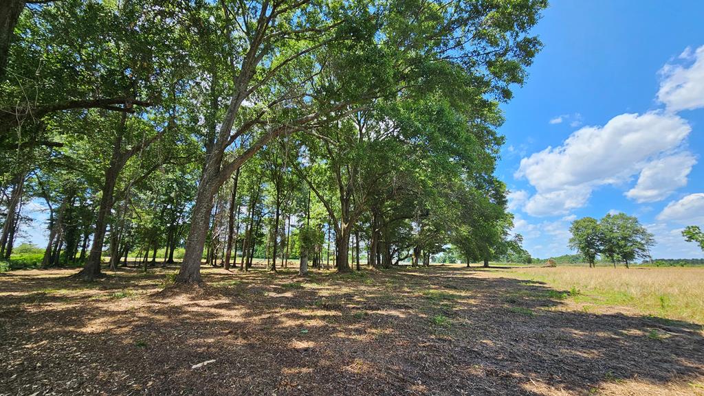 92 County Road 92 Slocomb, AL 36375 - Photo 28 of 58