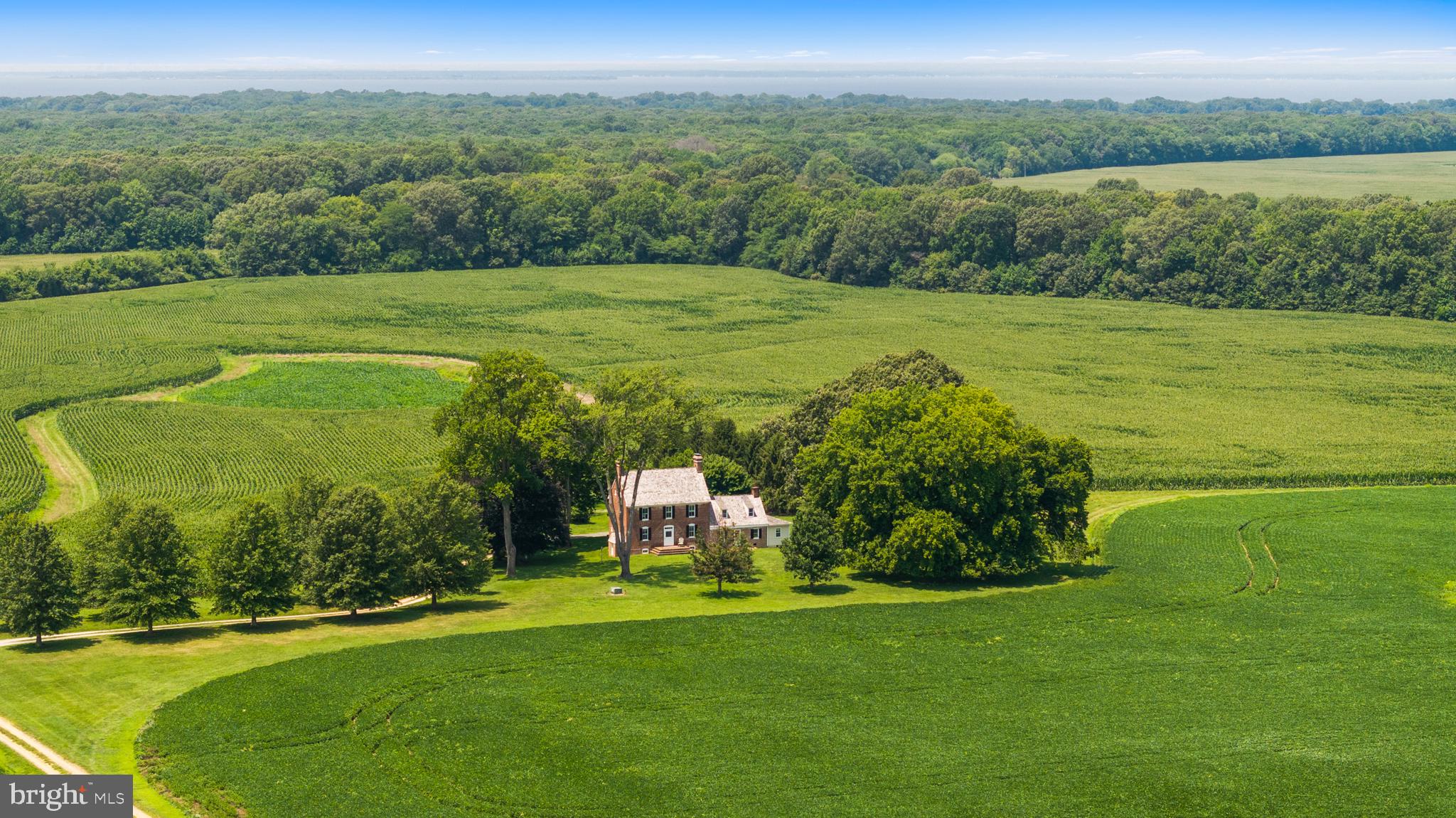 8184 Rock Hall Road Chestertown, MD 21620 - Photo 8 of 38 is a remarkably intact historic landscape...