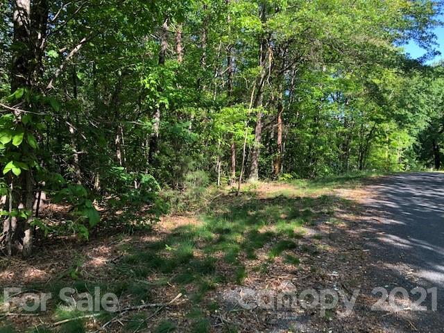 0 Hill Road Rutherfordton, NC 28139 - Photo 2 of 4 a view of outdoor space and tree