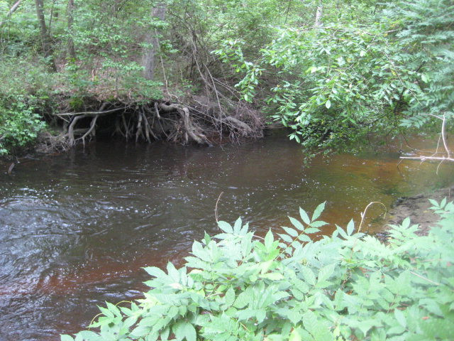 931 Ascauga Lake Road Graniteville, SC 29829 - Photo 1 of 1