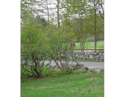 1 Clematis Road Lexington, MA 02421 - Photo 29 of 29 Gallery Image 29