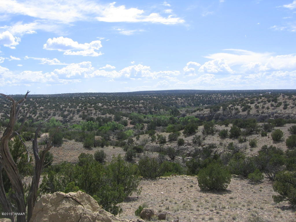 9 T14n R17e; Sw4 Nw4 Road Whiteriver, AZ 85941 - Photo 1 of 32