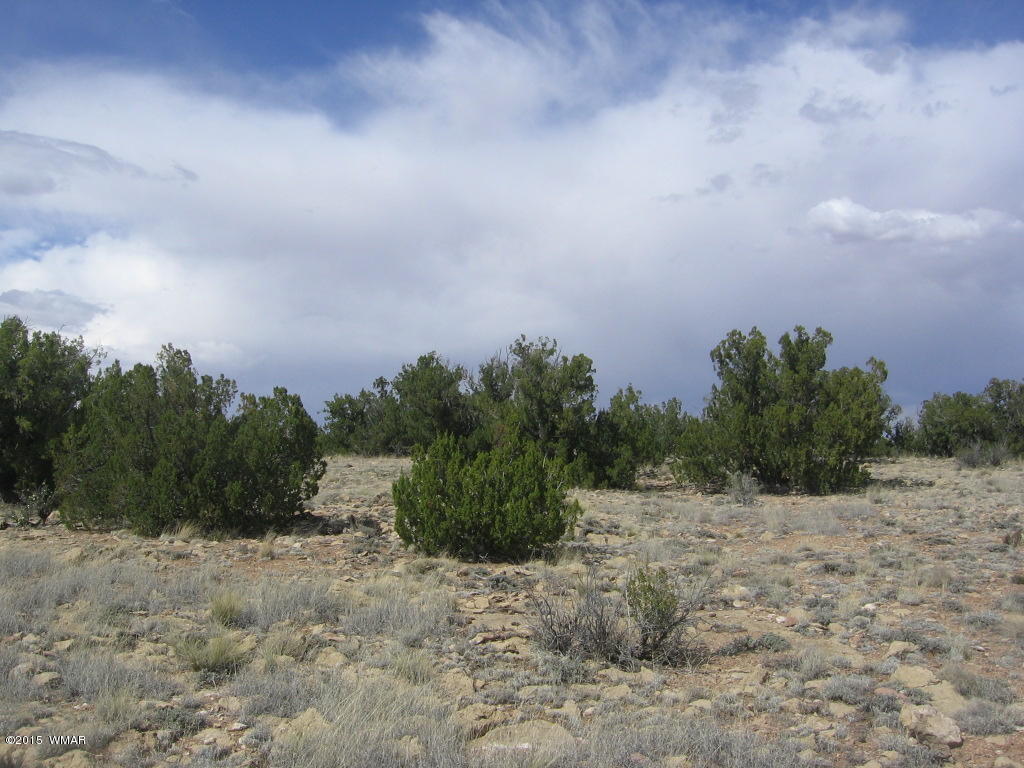 9 T14n R17e; Sw4 Nw4 Road Whiteriver, AZ 85941 - Photo 11 of 32