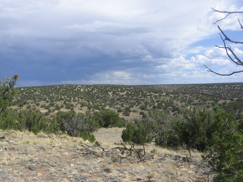 9 T14n R17e; Sw4 Nw4 Road Whiteriver, AZ 85941 - Photo 12 of 32