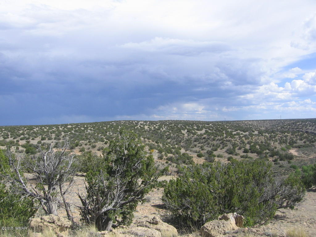 9 T14n R17e; Sw4 Nw4 Road Whiteriver, AZ 85941 - Photo 14 of 32