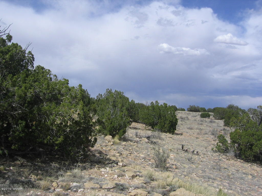 9 T14n R17e; Sw4 Nw4 Road Whiteriver, AZ 85941 - Photo 15 of 32