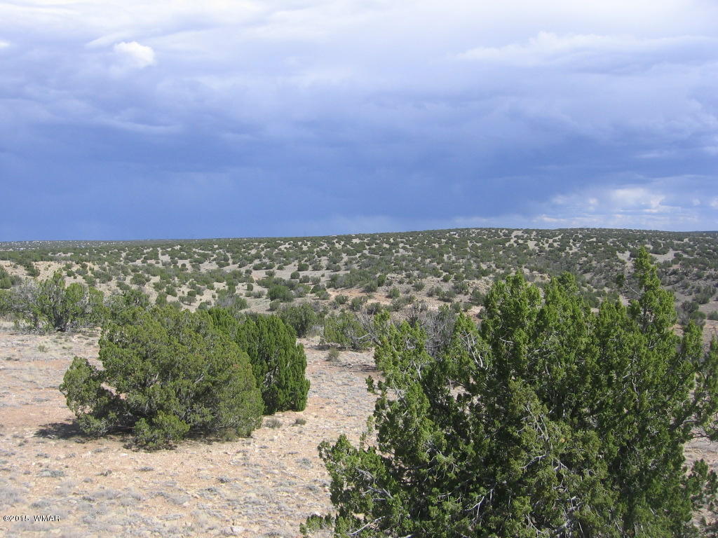 9 T14n R17e; Sw4 Nw4 Road Whiteriver, AZ 85941 - Photo 16 of 32