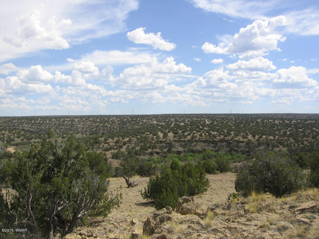9 T14n R17e; Sw4 Nw4 Road Whiteriver, AZ 85941 - Photo 17 of 32
