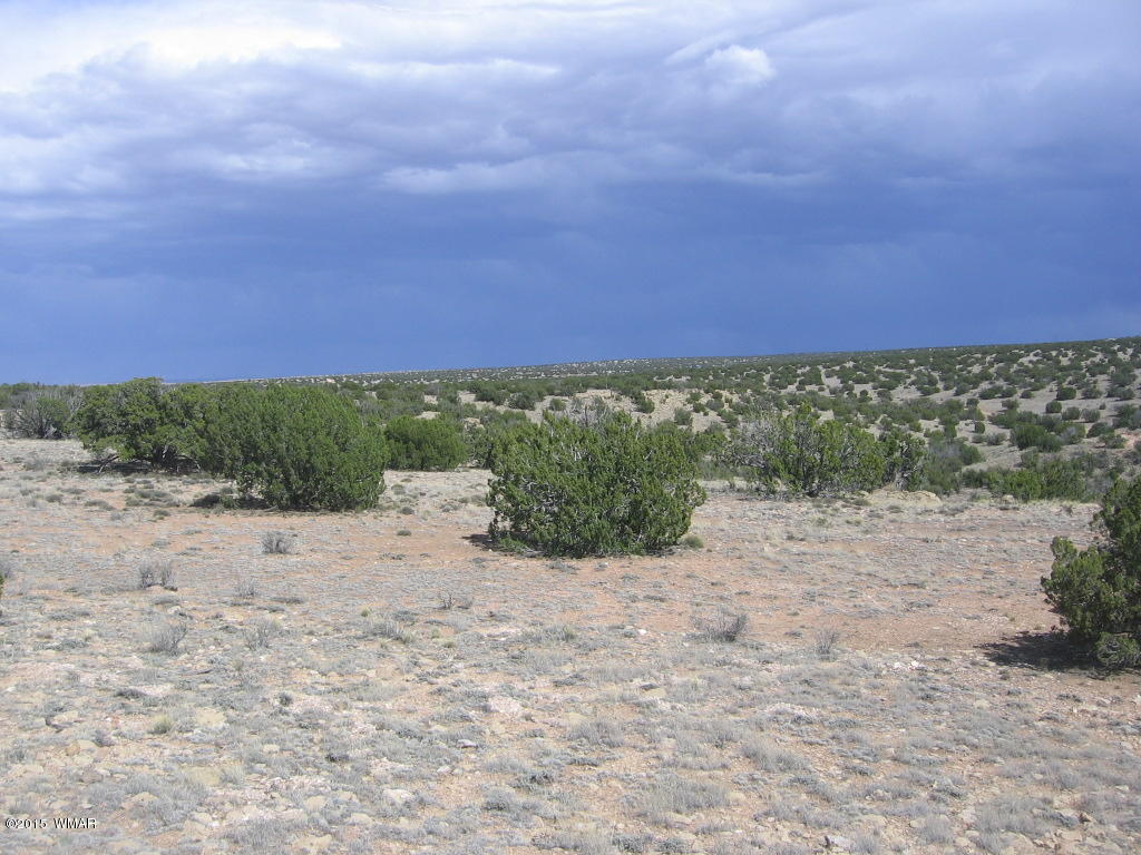 9 T14n R17e; Sw4 Nw4 Road Whiteriver, AZ 85941 - Photo 18 of 32