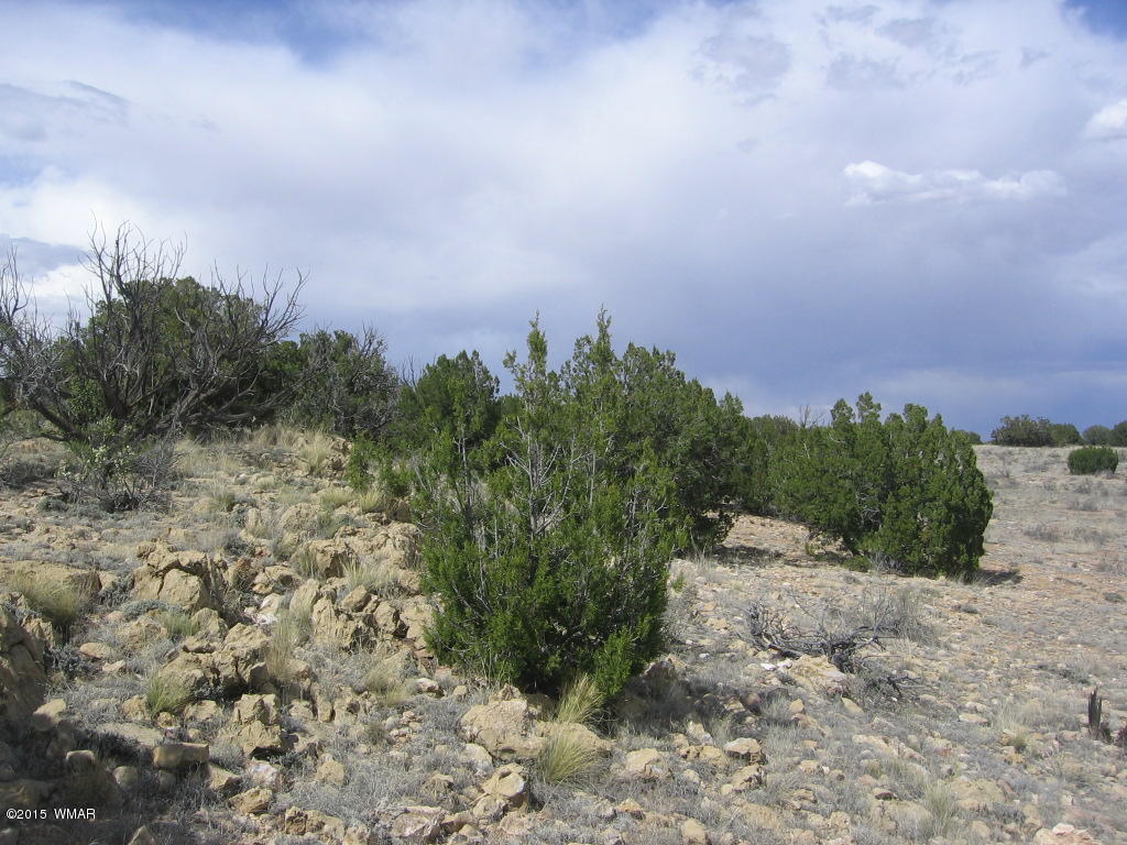 9 T14n R17e; Sw4 Nw4 Road Whiteriver, AZ 85941 - Photo 19 of 32