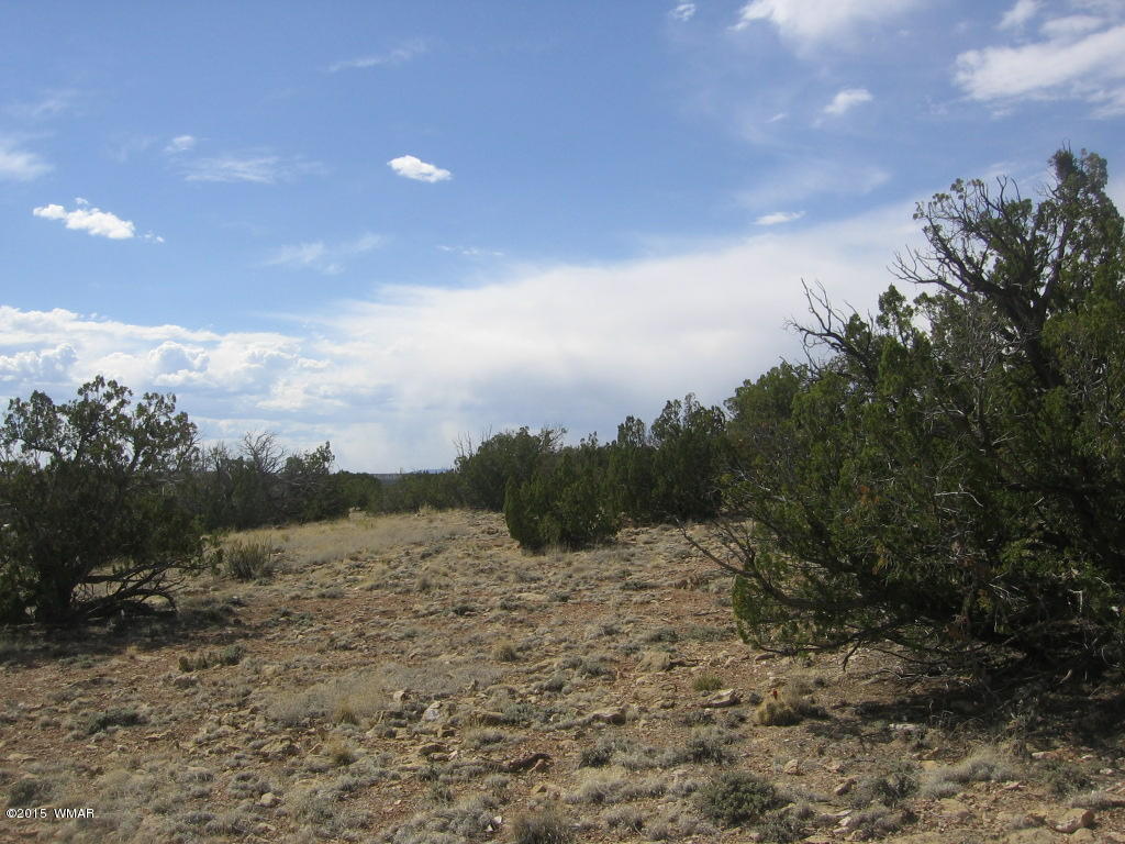 9 T14n R17e; Sw4 Nw4 Road Whiteriver, AZ 85941 - Photo 20 of 32