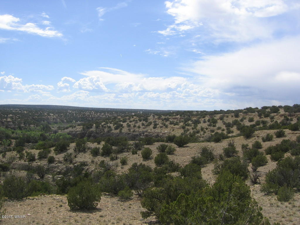 9 T14n R17e; Sw4 Nw4 Road Whiteriver, AZ 85941 - Photo 2 of 32