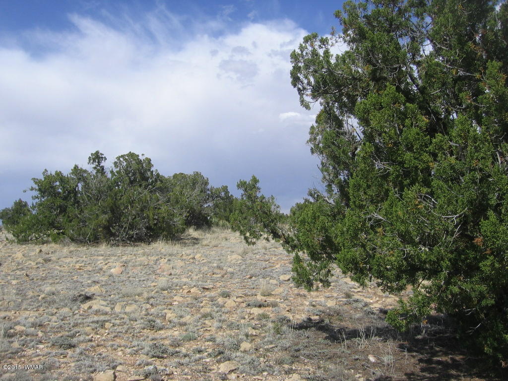 9 T14n R17e; Sw4 Nw4 Road Whiteriver, AZ 85941 - Photo 22 of 32