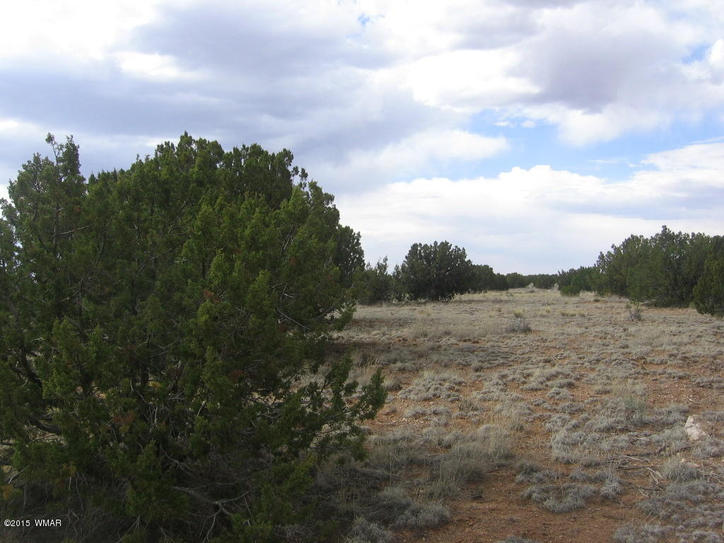 9 T14n R17e; Sw4 Nw4 Road Whiteriver, AZ 85941 - Photo 24 of 32