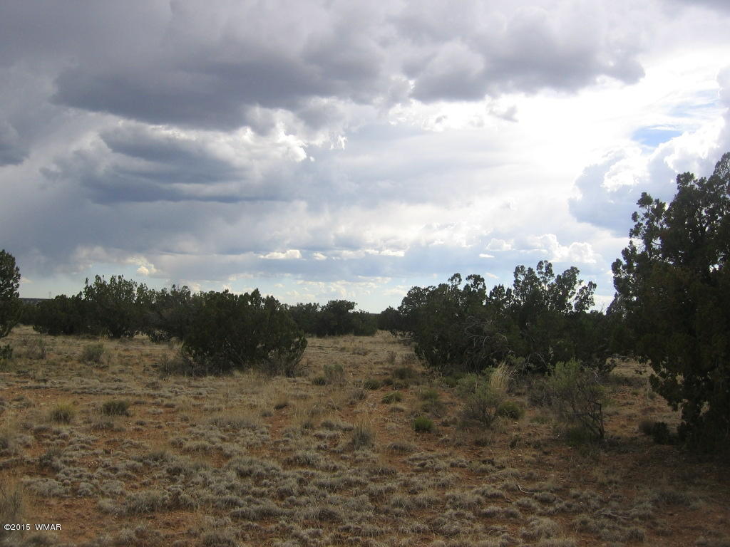 9 T14n R17e; Sw4 Nw4 Road Whiteriver, AZ 85941 - Photo 25 of 32
