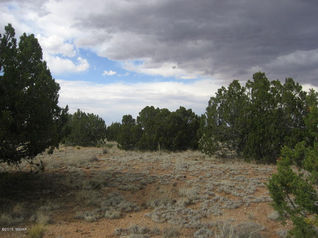 9 T14n R17e; Sw4 Nw4 Road Whiteriver, AZ 85941 - Photo 27 of 32