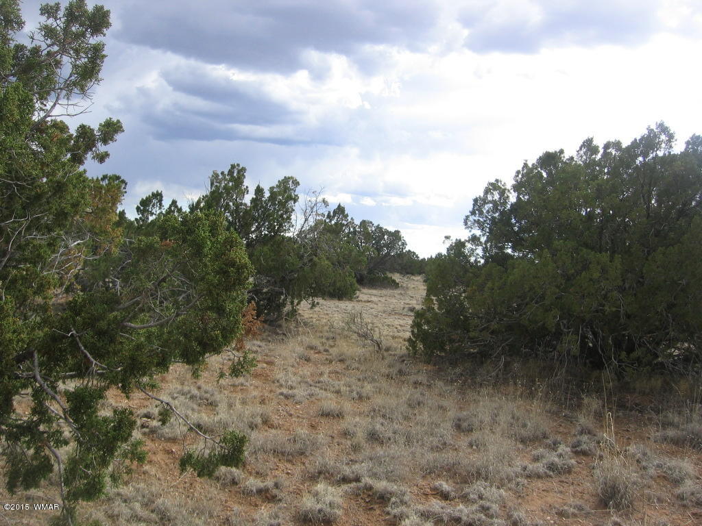 9 T14n R17e; Sw4 Nw4 Road Whiteriver, AZ 85941 - Photo 28 of 32