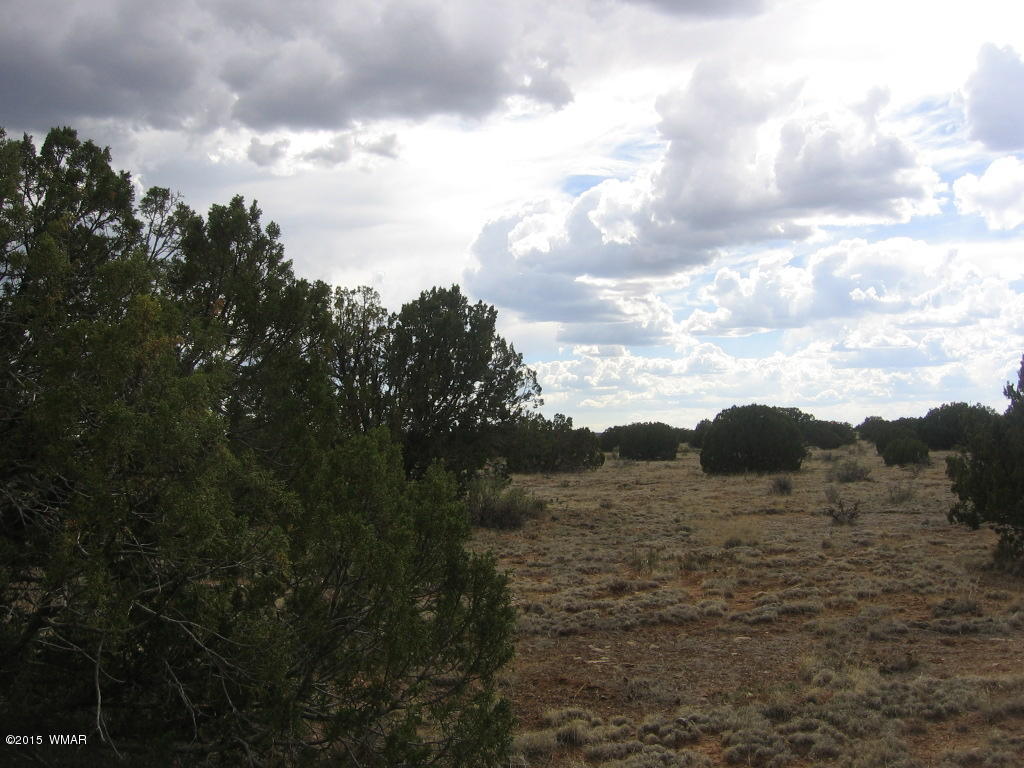 9 T14n R17e; Sw4 Nw4 Road Whiteriver, AZ 85941 - Photo 29 of 32
