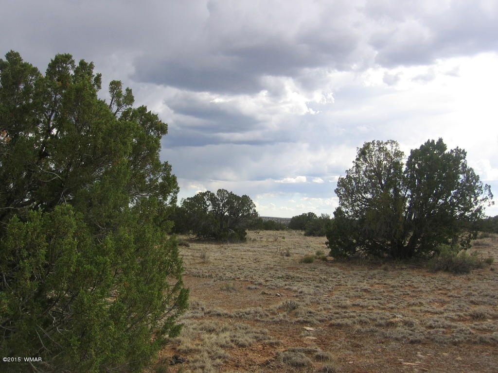 9 T14n R17e; Sw4 Nw4 Road Whiteriver, AZ 85941 - Photo 30 of 32