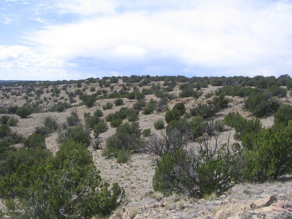 9 T14n R17e; Sw4 Nw4 Road Whiteriver, AZ 85941 - Photo 3 of 32