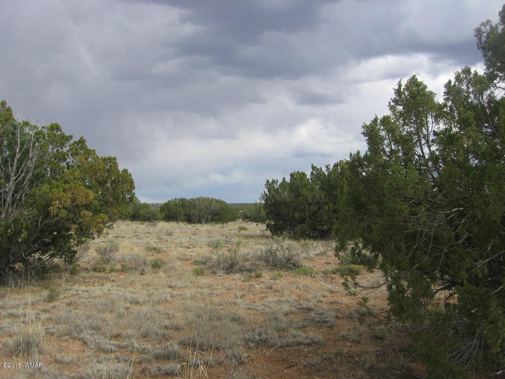 9 T14n R17e; Sw4 Nw4 Road Whiteriver, AZ 85941 - Photo 31 of 32