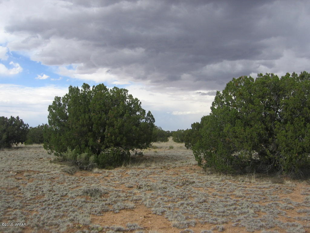 9 T14n R17e; Sw4 Nw4 Road Whiteriver, AZ 85941 - Photo 32 of 32