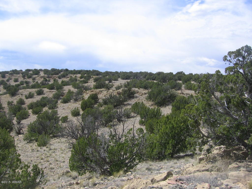 9 T14n R17e; Sw4 Nw4 Road Whiteriver, AZ 85941 - Photo 4 of 32