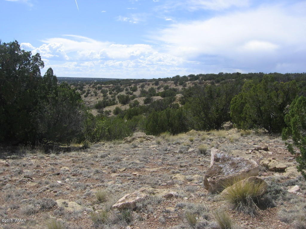 9 T14n R17e; Sw4 Nw4 Road Whiteriver, AZ 85941 - Photo 5 of 32