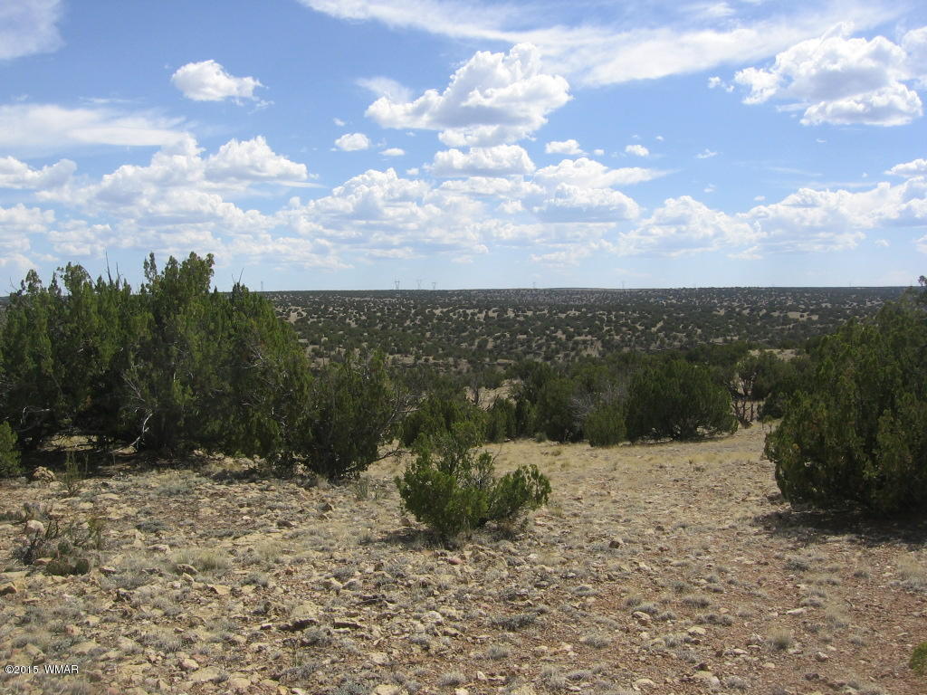 9 T14n R17e; Sw4 Nw4 Road Whiteriver, AZ 85941 - Photo 6 of 32