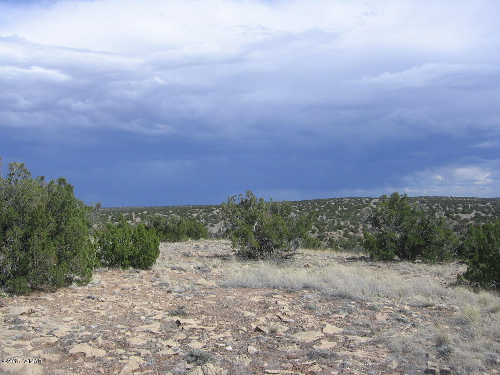 9 T14n R17e; Sw4 Nw4 Road Whiteriver, AZ 85941 - Photo 7 of 32