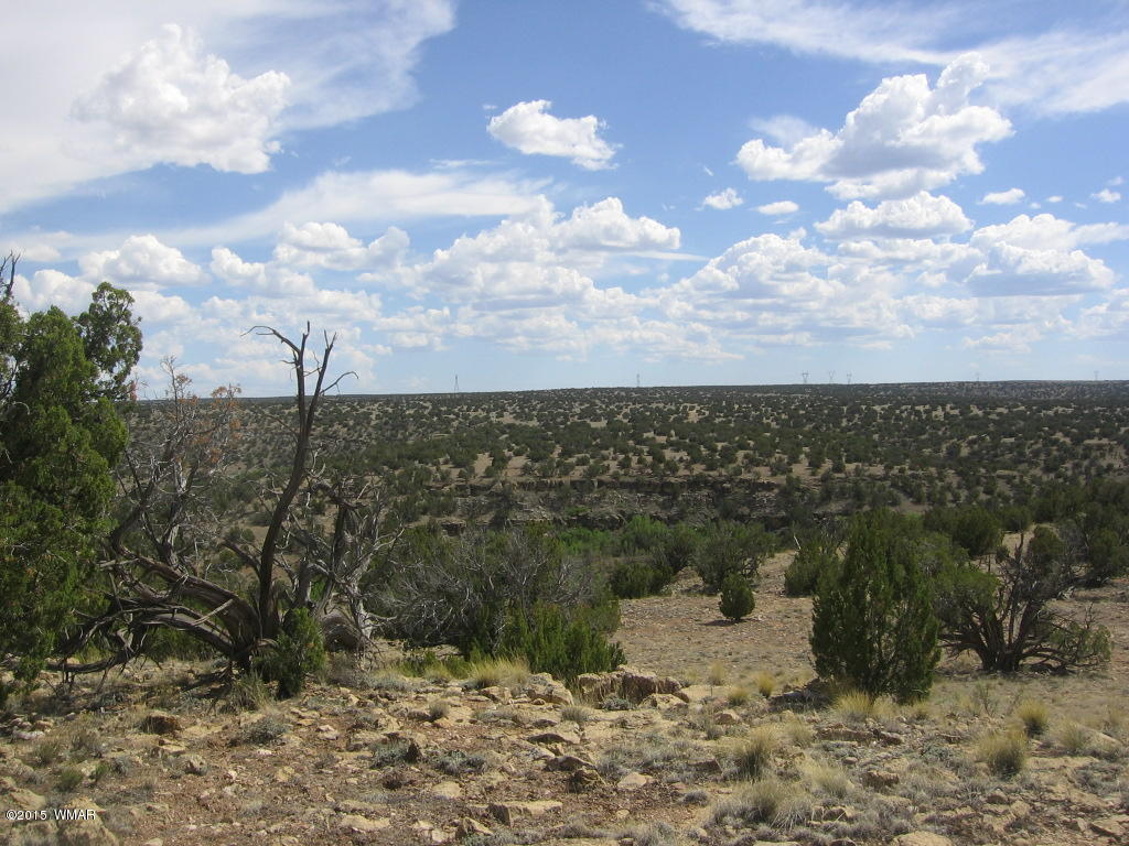 9 T14n R17e; Sw4 Nw4 Road Whiteriver, AZ 85941 - Photo 8 of 32
