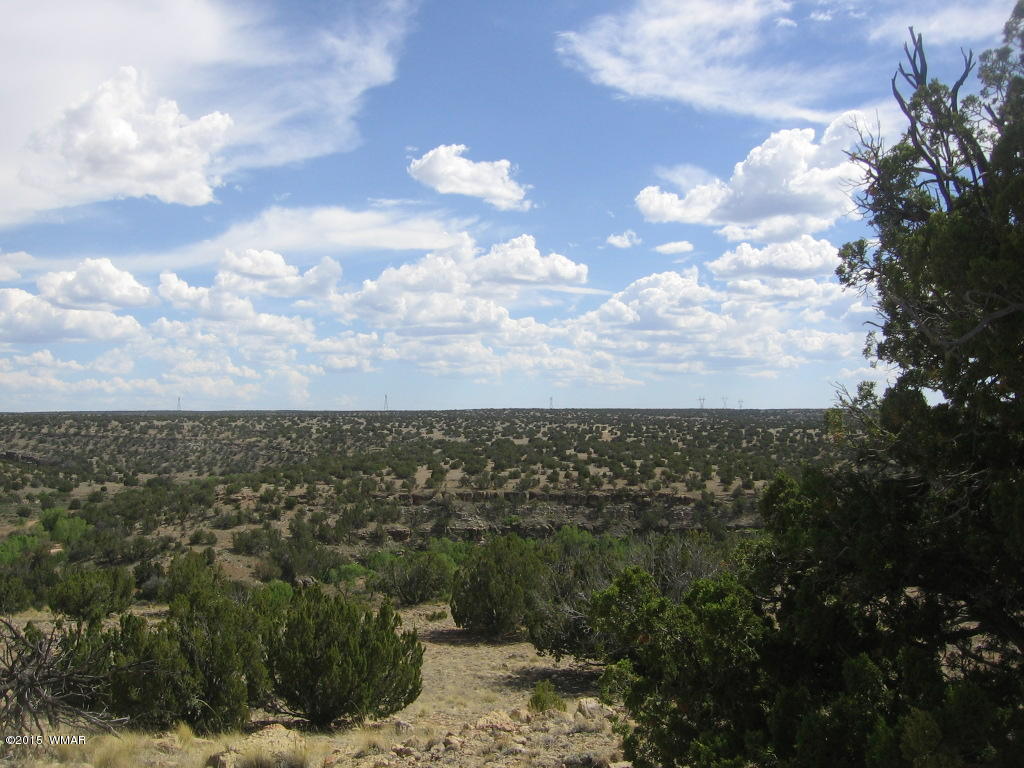 9 T14n R17e; Sw4 Nw4 Road Whiteriver, AZ 85941 - Photo 10 of 32