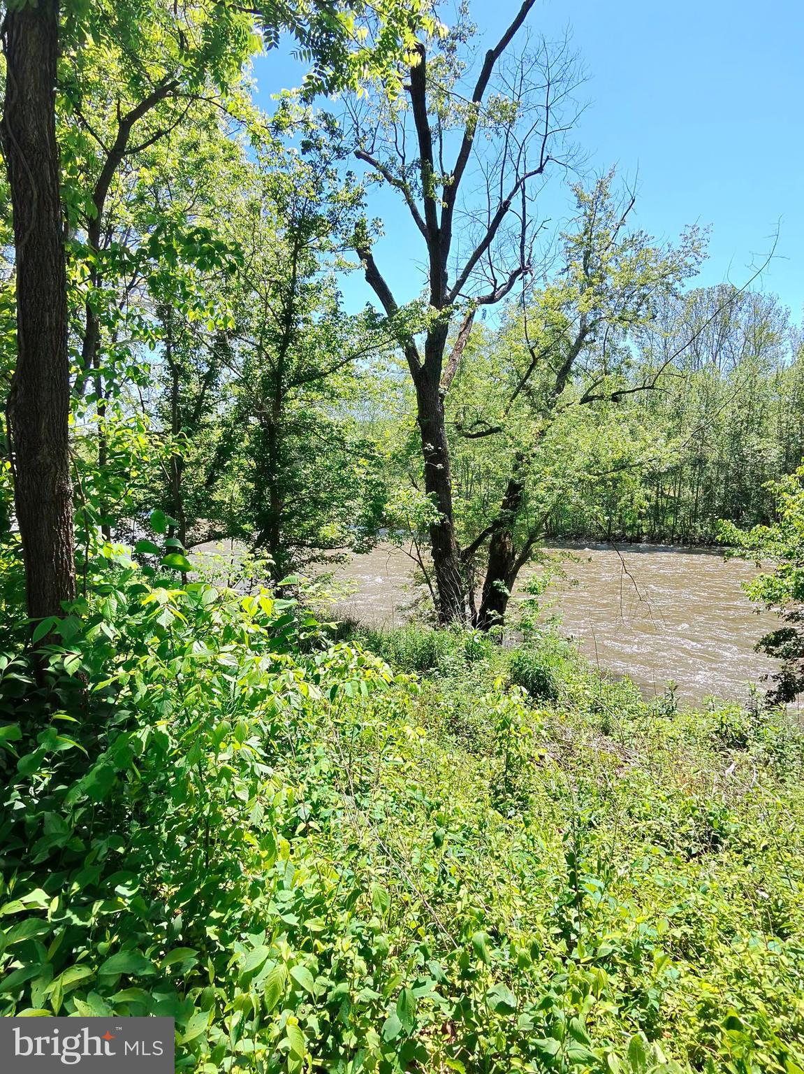 1461 Springfield Pike Springfield, WV 26763 - Photo 7 of 15