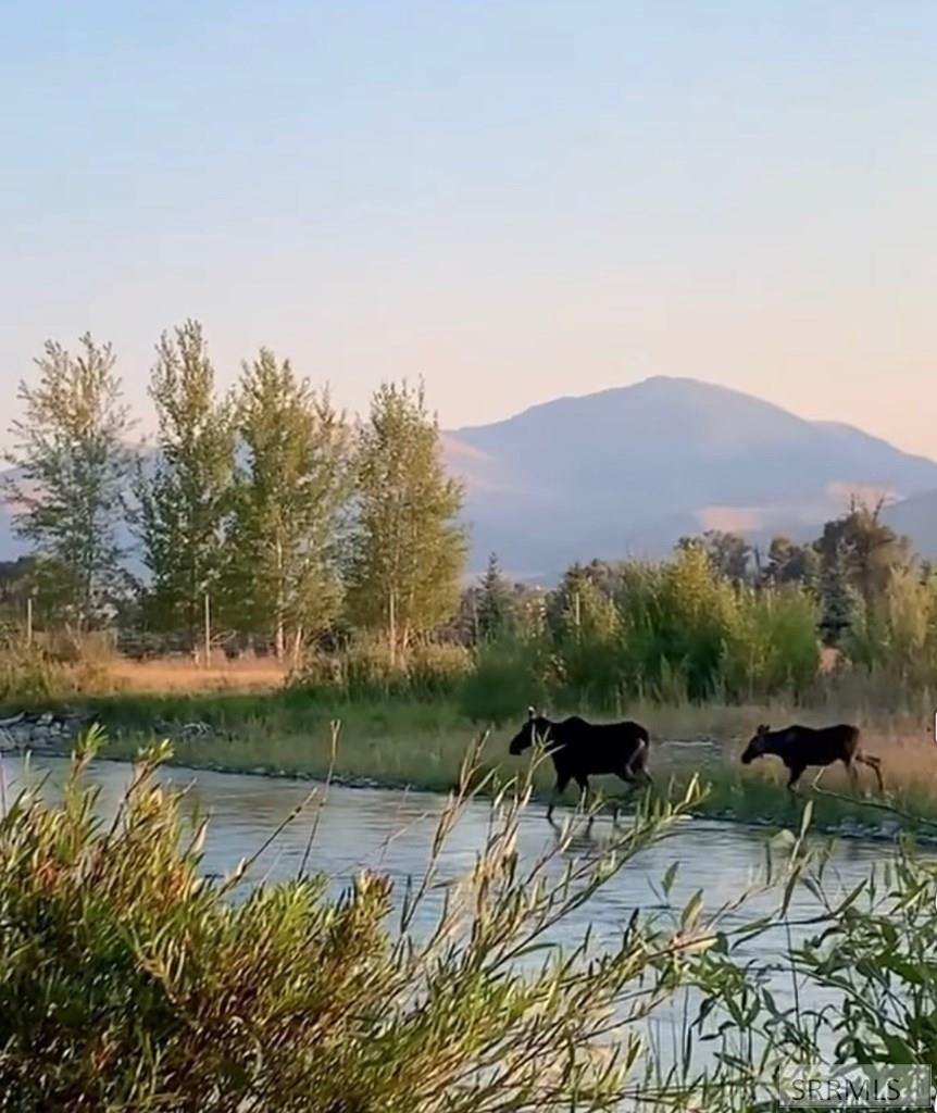 90.95 Houston Road Mackay, ID 83251 - Photo 2 of 8