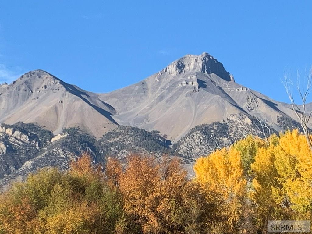 90.95 Houston Road Mackay, ID 83251 - Photo 3 of 8