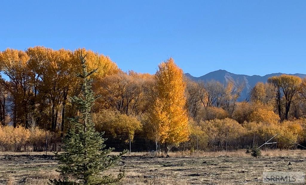 90.95 Houston Road Mackay, ID 83251 - Photo 4 of 8