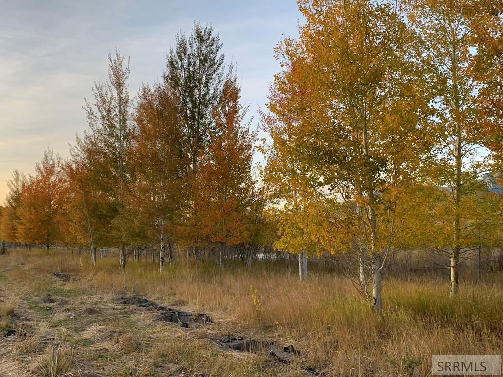 90.95 Houston Road Mackay, ID 83251 - Photo 6 of 8